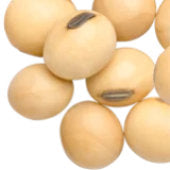 Image of soya beans