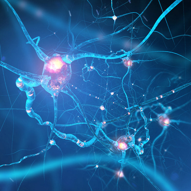 image of Mind Lab Pro®