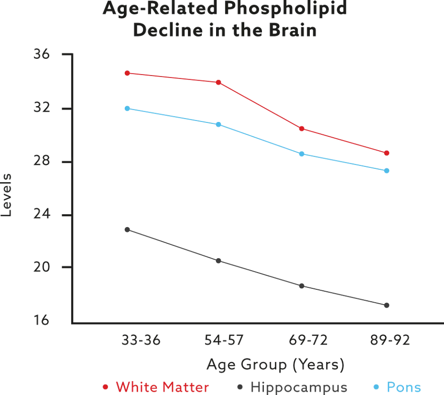 graph of ade-related phospholipid decline in the brain